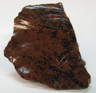 tigrillo